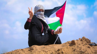 ​Los datos sobre transparencia que facilita la Autoridad Nacional Palestina: Una aproximación